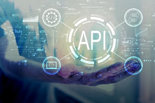 Cos’è API